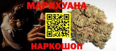 СК Обь