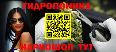 СК Обь