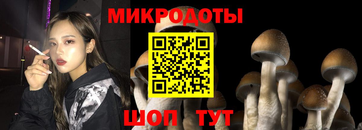 Галлюциногенные грибы Cubensis Белореченск
