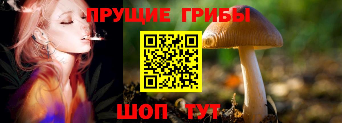 Белореченск  Псилоцибиновые грибы MAGIC MUSHROOMS  Псилоцибиновые грибы прущие грибы  Вход с VPN 